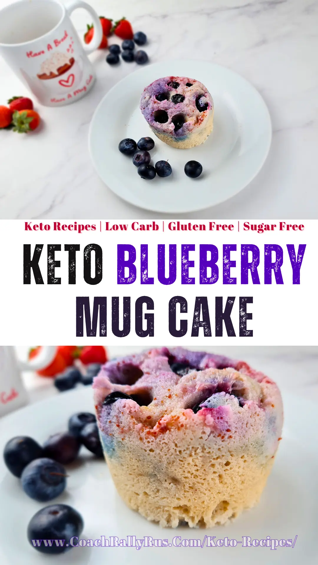 Easy Keto Blueberry Mug Cake Recipe With Coconut Flour 