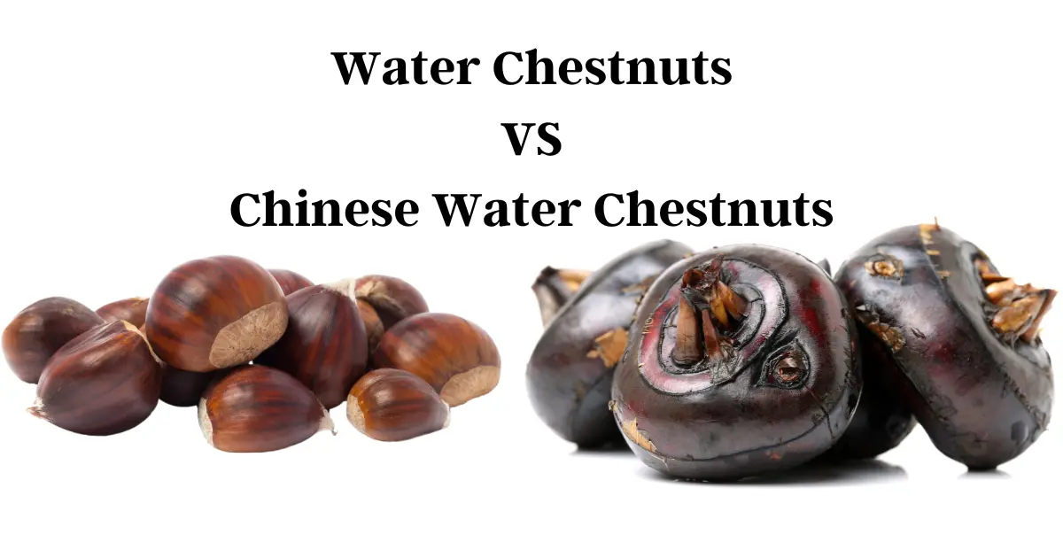 Are Water Chestnuts Keto Friendly? Best Keto Substitutes