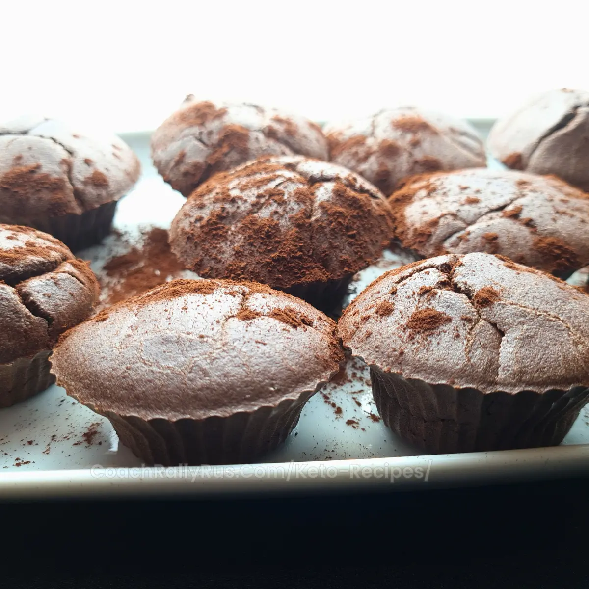 Keto Coconut Flour Chocolate Muffins