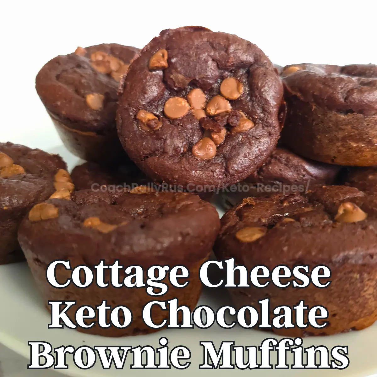 Cottage cheese brownie muffin topped with chocolate chips
